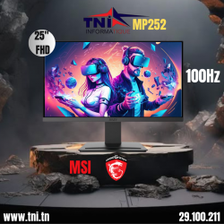 Écran MSI Pro MP252 25"...