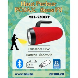 Haut Parleur Portable...