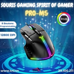 Souris Gaming Spirit Of...