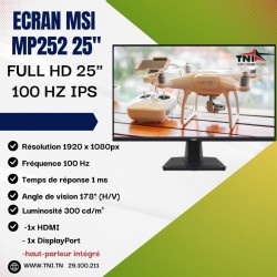 Écran MSI Pro MP252 25"...