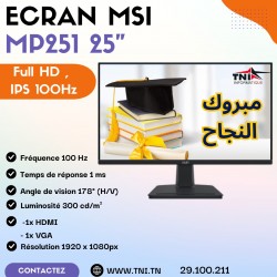 Ecran  MSI  Gamer  MP251...