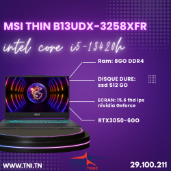 MSI Thin 15 B13UDX-3258XFR
