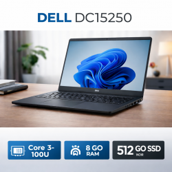DELL DC15250, core 3-100U,...